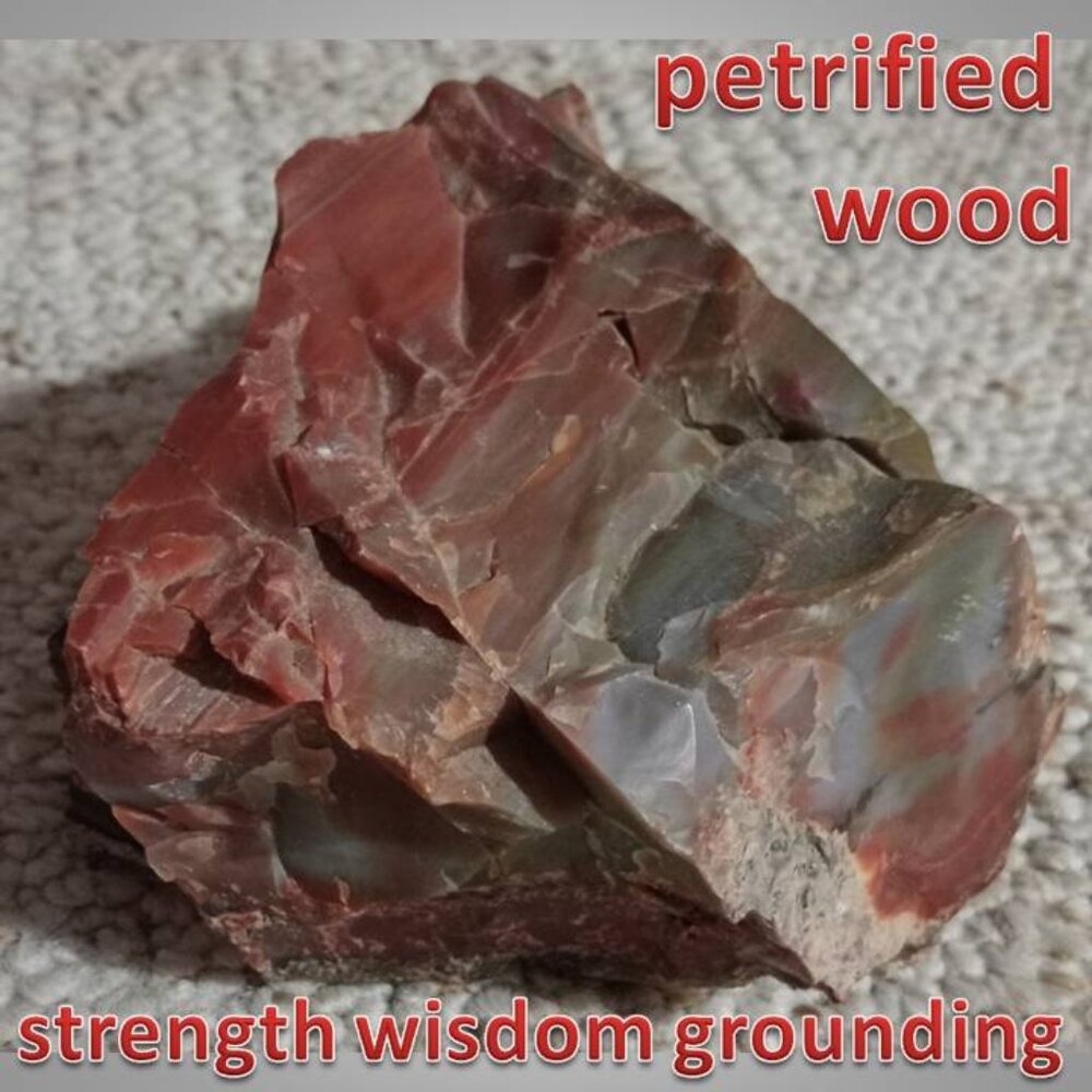 LARGE petrified wood mineral fossil crystal CHUNK 01 GOOD FORTUNE